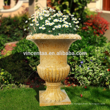 Importer Directory Plants for Large Planters VFP-N001